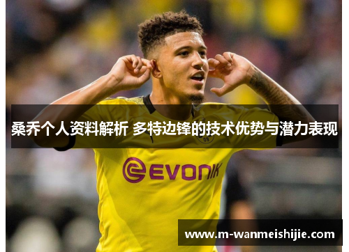 桑乔个人资料解析 多特边锋的技术优势与潜力表现