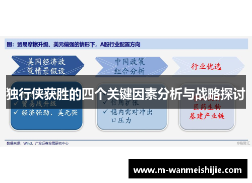 独行侠获胜的四个关键因素分析与战略探讨
