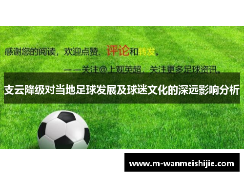 支云降级对当地足球发展及球迷文化的深远影响分析