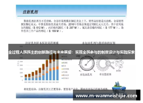 全过程人民民主的创新路径与未来展望：实现全民参与的制度设计与实践探索