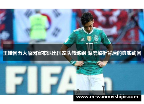 王皓因五大原因宣布退出国家队教练组 深度解析背后的真实动因
