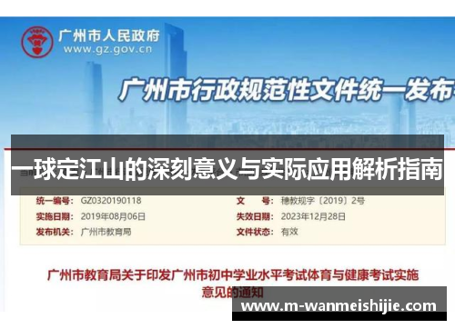 一球定江山的深刻意义与实际应用解析指南