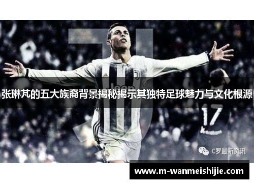 张琳芃的五大族裔背景揭秘揭示其独特足球魅力与文化根源