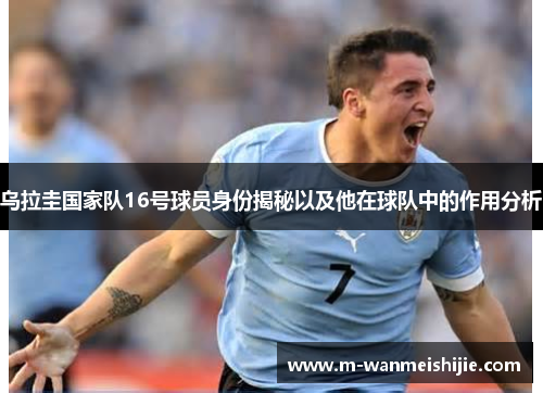 乌拉圭国家队16号球员身份揭秘以及他在球队中的作用分析